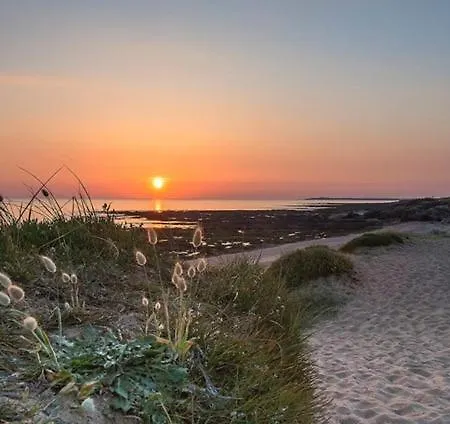 Maison Vue Sur L'ocean Dans Les Dunes, Acces Direct Aux Plages 度假居 布雷蒂诺斯梅尔
